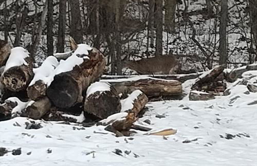 Unique Yet Cozy Victorian Home in Tioga County PA - Foto 18