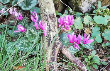 La Casa di Franco - Foto 25