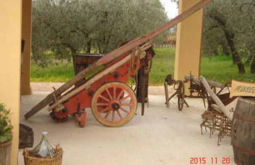 Agriturismo Il Truffarello TODI - Photo 43