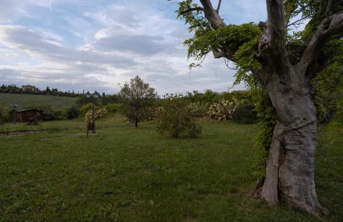 Il Casale dello chef - Foto 32