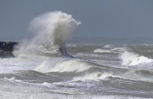 Le Tilburg - Photo 29