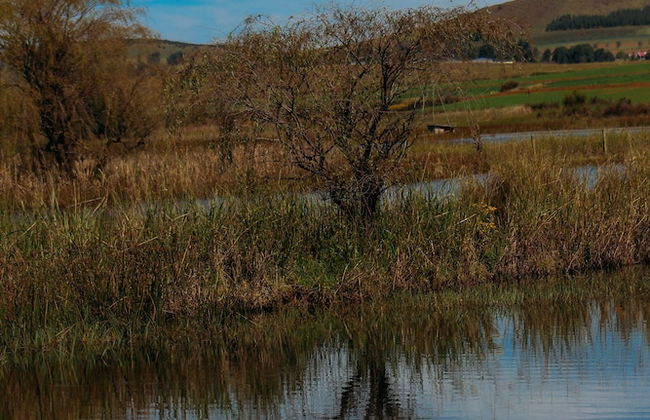 Moorcroft Manor Boutique Country Hotel - Photo 80