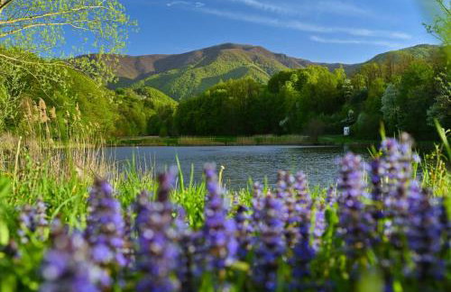 The Cozy Chalet - Foto 55