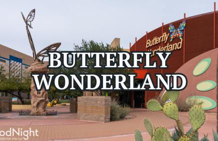 Windchime - Multiple Patios - Mins to Old Town - Foto 49