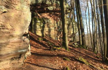 CASA Palatina - Foto 20