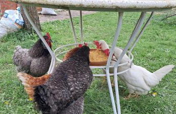 Casa grande con jardín - Foto 23