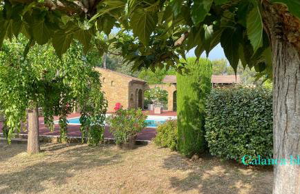 Calanca blu : grand appartement - Foto 41