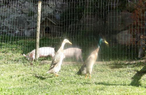 El Molí d'en Solà-Allotjaments rurals - Foto 23