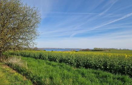 Ferienhaus Seestern - Foto 17