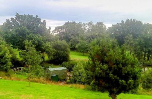 Snug & Secluded Lakeside Shepherds Hut 'Carp' - Foto 19