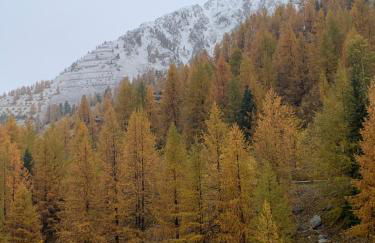 Studio Isola 2000 centre station front de neige - Photo 15