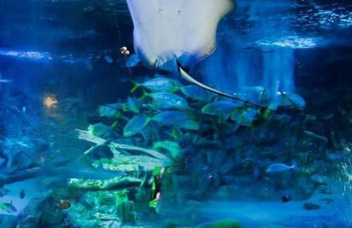 Serenity - Luxury Hot Tub, Sunnymede, Fantasy Island, Ramped Access, Parking, 2 dogs max - East Coast Holidays - Foto 46