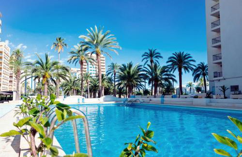 Almar Collection Cullera AR - Photo 5