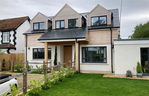 Little Foxes - Photo 1