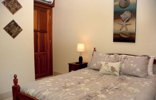 Marazul Belize - Foto 63