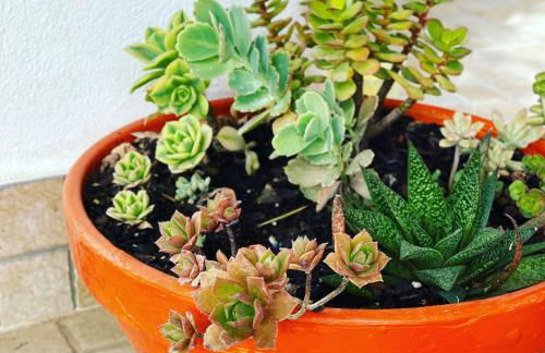 Casa das Termas - Cabeço de Vide - Foto 26