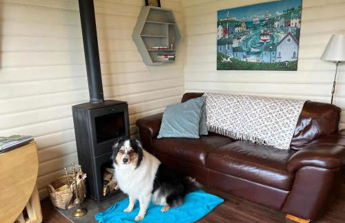 Rustic Secluded Hidden Gem At Rockhall - Photo 13