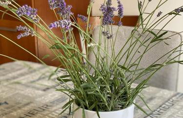 Casa Bellavista - Foto 16