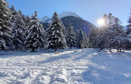 Gîte chalet la Bergerie de Sentantony - Val d'Azun - Montagne Pyrénées - Photo 20