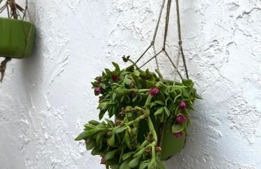 Casa Rotulì - Foto 15