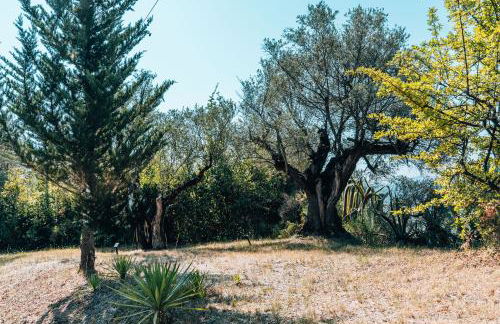 Les Lodges de Saint Cassien - Foto 37