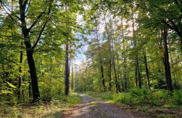 Blue Lake House - Foto 7