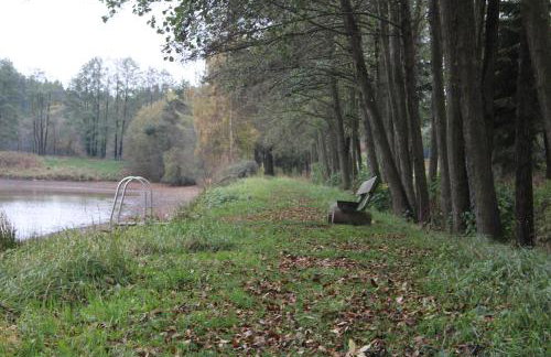 ZumSeehörnchen Haus Schmetterling - Foto 30