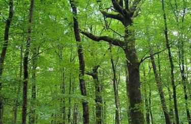 Le Cottage de la Doucette - Foto 34