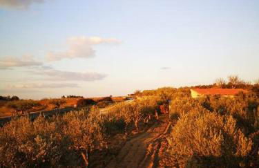 Villa Mendes Oliva - Foto 22