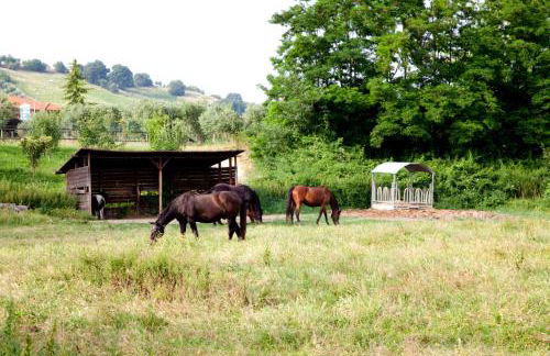 Agriturismo Villa Irelli - Photo 13