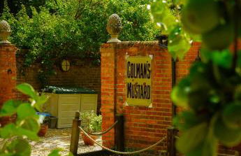 The Dairy at Lodge Farm - Photo 22