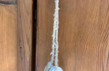 Casa nel verde a 300 mt dal mare a Castiglioncello - Foto 48