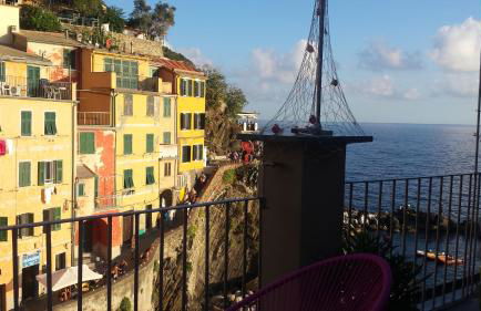 Pepita di Rio - Foto 38