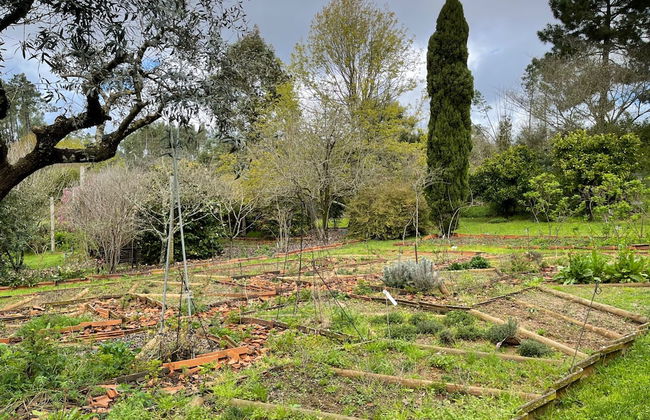 Charming Garden Retreat in Pedrogao Grande - Foto 25