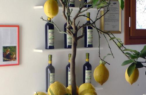 Agriturismo Monaci Templari - Foto 85