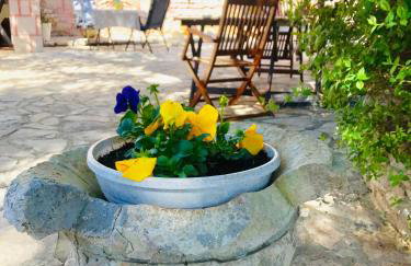 Apartment Pino - Foto 12