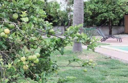 Villa Elea Apartments - Photo 43