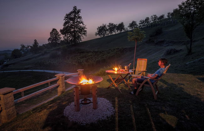 Vineyard Cottage Krivic - Photo 1