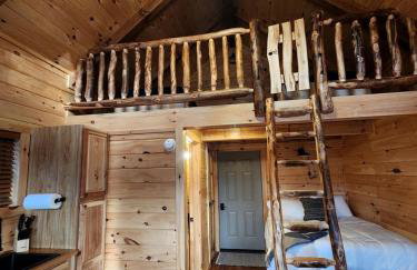 Pet-Friendly Tree Cabin by Tappan Lake with Lofted Space in Ohio - Foto 8