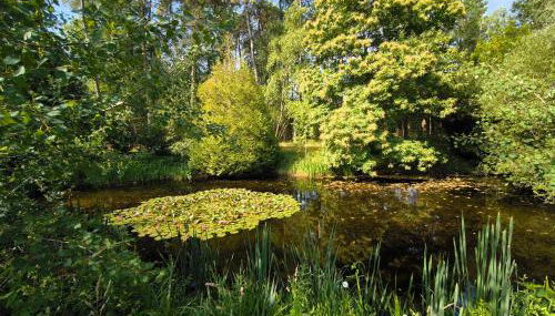 Maison forestière - Foto 4, Garden, Garden view