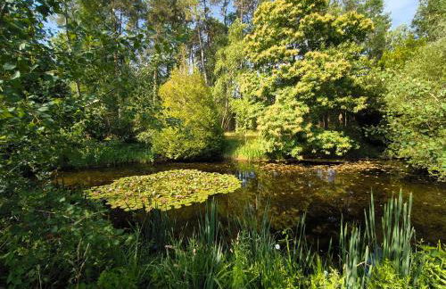 Maison forestière - Foto 4