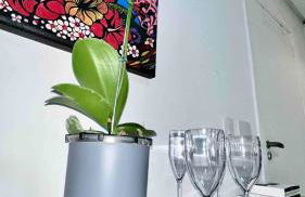 Top! Decor Moderno Com Vista - Av Barão Homem de Melo 4520 esquina com Raja Gabáglia - Foto 57