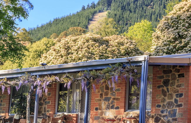 Bright Mystic Valley - Foto 33