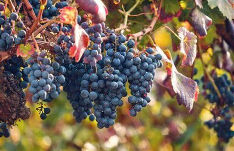 *ARCADE.ROOM* - Foto 29