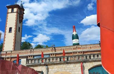 Große Reblaus - Wohnen im Weinberg in der Toskana des Nordens - Foto 40