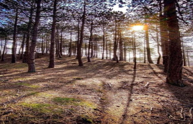 Holiday Home in Schoorl Near Sandy Beaches - Foto 37