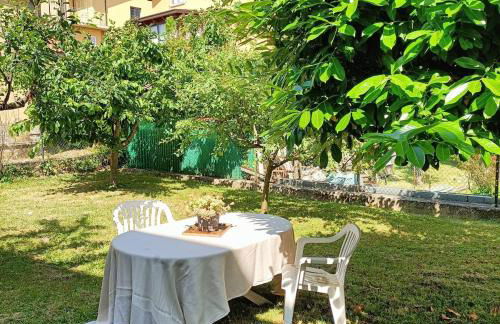 Carpegna Green House - Foto 18