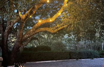 A Casa da Lua - Foto 10