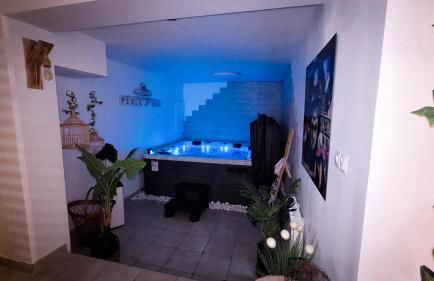 Perle d'eau-Love Room-Jacuzzi-Sauna-Proche Montbéliard et Belfort - Foto 69