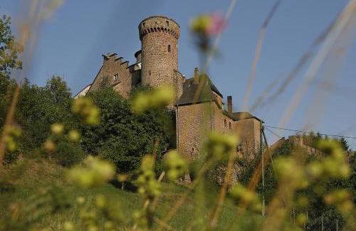 Landhaus Wald und See - Foto 20